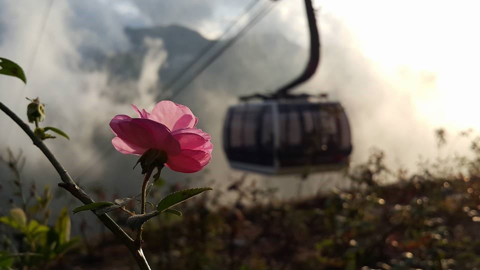 Những người mang… hồn cáp