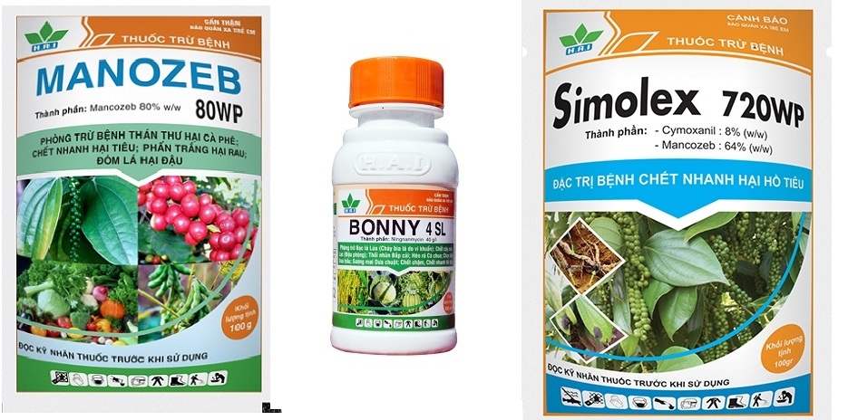 Phòng ngừa hiệu quả bệnh vàng lá, thối rễ ở cây có múi