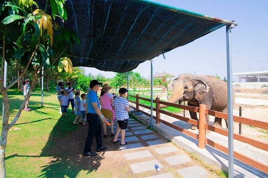 Gợi ý những địa điểm vui chơi bổ ích và lý thú cho bé ngày 1/6