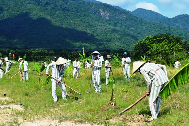 Khoảnh khắc hạnh phúc ngày đặc xá phạm nhân năm 2016