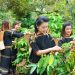 Hợp tác phát triển vùng nông nghiệp mang bản sắc Tây Nguyên