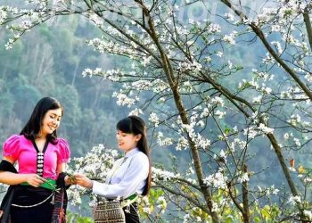 Lễ hội Hoa Ban 2023 sẽ được tổ chức cùng Ngày hội các dân tộc tỉnh Điện Biên