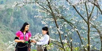 Lễ hội Hoa Ban 2023 sẽ được tổ chức cùng Ngày hội các dân tộc tỉnh Điện Biên
