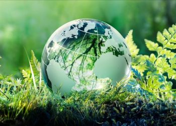 Những vấn đề về công cụ chính sách phát triển kinh tế xanh ở Việt Nam