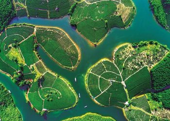 Khám phá ốc đảo xanh yên bình xứ Nghệ