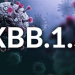 TPHCM: Xuất hiện biến thể XBB.1.5-số ca mắc Covid-19 tăng nhẹ
