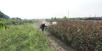 Cần phải xử lý bằng pháp luật đối với thực phẩm và nông sản độc hại
