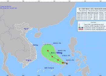 Ứng phó áp thấp nhiệt đới: 276 tàu cá với 7428 ngư dân đang trong vùng nguy hiểm