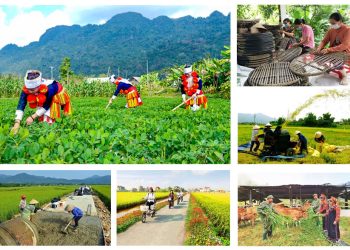 Chính phủ kiểm tra, giám sát thực hiện các chương trình mục tiêu quốc gia tại 3 Vùng