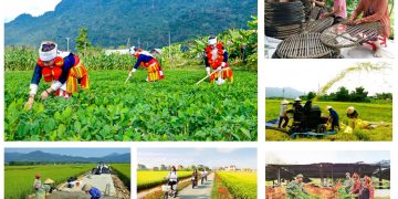 Chính phủ kiểm tra, giám sát thực hiện các chương trình mục tiêu quốc gia tại 3 Vùng