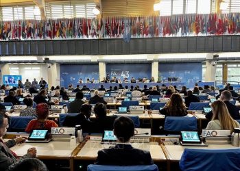 Việt Nam tham dự Phiên họp lần thứ 43 Hội nghị cấp Bộ trưởng của Tổ chức Lương thực và Nông nghiệp Liên hợp quốc (FAO)