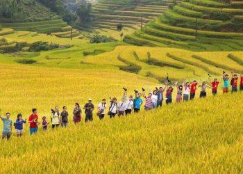 Hà Giang vinh dự được Tổ chức giải thưởng Du lịch Thế giới trao giải thưởng: Điểm đến du lịch mới nổi hàng đầu châu Á năm 2023