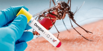 Dịch sốt xuất huyết lây lan mạnh tại Nam Á và Đông Nam Á