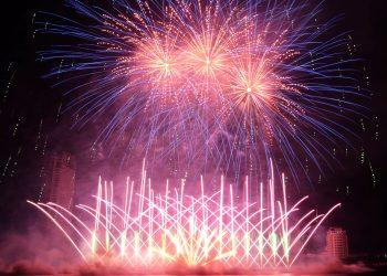 Gương mặt mới tham dự DIFF 2024: Đại diện từ CHLB Đức