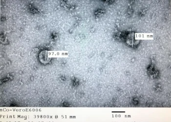 Ghi nhận biến thể phụ JN.1 ở người mắc COVID-19 tại thành phố Hồ Chí Minh