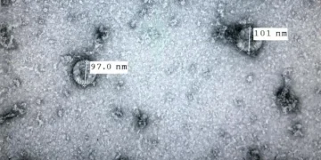 Ghi nhận biến thể phụ JN.1 ở người mắc COVID-19 tại thành phố Hồ Chí Minh