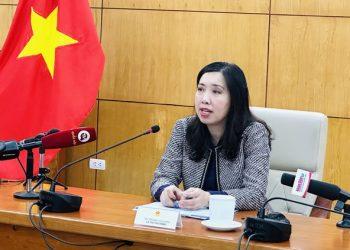 Triển khai mạnh mẽ, toàn diện công tác về người Việt Nam ở nước ngoài