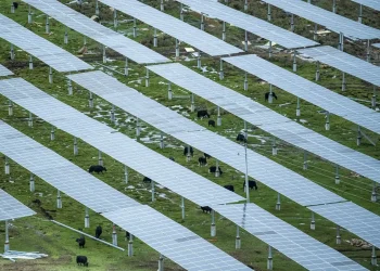 Công nghệ pin mặt trời mới siêu mỏng từ Trung Quốc