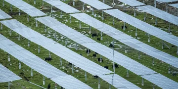 Công nghệ pin mặt trời mới siêu mỏng từ Trung Quốc