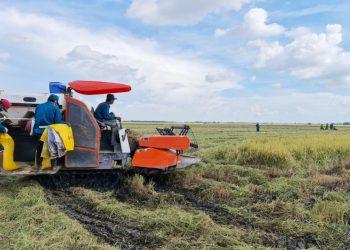 Campuchia tham vọng trở thành cường quốc nông nghiệp mới của ASEAN