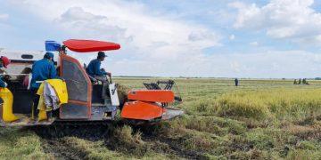 Campuchia tham vọng trở thành cường quốc nông nghiệp mới của ASEAN