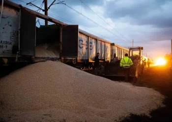 Ukraine đòi bồi thường ngũ cốc, Ba Lan cân nhắc đóng cửa tạm thời biên giới