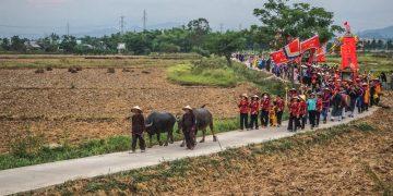 Lễ rước Mục đồng làng Phong Lệ – bản sắc riêng trong dòng chảy văn minh lúa nước Đông Nam Á