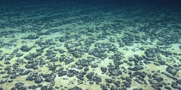 Nốt đa kim dưới đáy biển, bí mật sốc về “oxy tối” liên quan đến sự sống Trái Đất