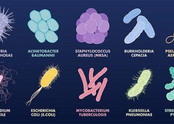 Siêu vi khuẩn kháng thuốc có thể giết chết khoảng 40 triệu người vào năm 2050