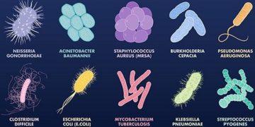 Siêu vi khuẩn kháng thuốc có thể giết chết khoảng 40 triệu người vào năm 2050
