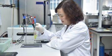 Việt Nam nghiên cứu thành công vật liệu dẫn thuốc có khả năng tiêu diệt tế bào ung thư bàng quang