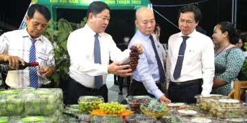 Giải pháp đầu ra cho sản phẩm nông nghiệp đặc thù tỉnh Ninh Thuận: Gia tăng sức mạnh chuỗi cung ứng bằng sở hữu trí tuệ và bảo vệ thương hiệu