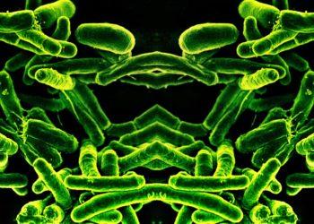 Những sáng tạo sinh học có thể gây đại dịch hủy diệt mọi sự sống trên Trái Đất