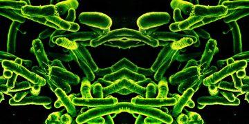 Những sáng tạo sinh học có thể gây đại dịch hủy diệt mọi sự sống trên Trái Đất