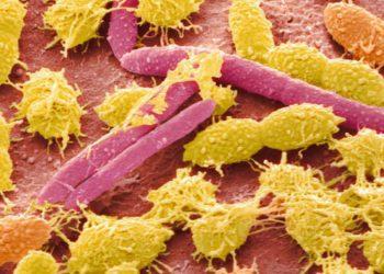 Phát hiện thực thể mới ẩn nấp trong cơ thể người