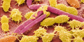 Phát hiện thực thể mới ẩn nấp trong cơ thể người