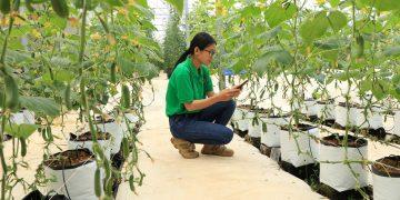 Lâm Đồng hướng tới phát triển kép về cả kinh tế số và kinh tế xanh