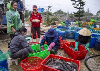 Các nguồn quỹ hỗ trợ phụ nữ nghèo trên địa bàn tỉnh Quảng Bình hoạt động hiệu quả