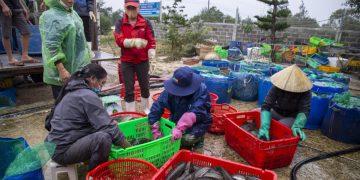 Các nguồn quỹ hỗ trợ phụ nữ nghèo trên địa bàn tỉnh Quảng Bình hoạt động hiệu quả