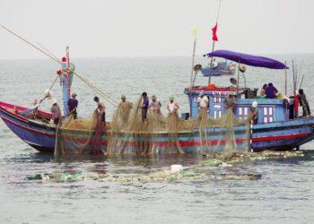 Quảng Ngãi kiên quyết ngăn chặn tình trạng tàu cá, ngư dân vi phạm khai thác hải sản trái phép ở vùng biển nước ngoài