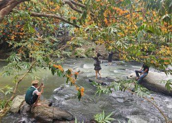 Nhiều hoạt động kích cầu du lịch nhân kỷ niệm 50 năm ngày giải phóng tỉnh Bình Định