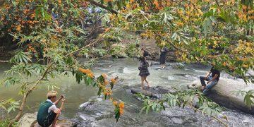 Nhiều hoạt động kích cầu du lịch nhân kỷ niệm 50 năm ngày giải phóng tỉnh Bình Định