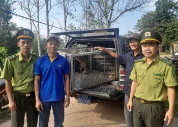 “Đường dây nóng” kiểm lâm Huế- cứu tinh của động vật hoang dã