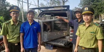 “Đường dây nóng” kiểm lâm Huế- cứu tinh của động vật hoang dã