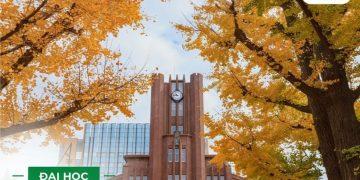 Bài học từ người Nhật: Tỉnh thức để hòa nhập và phát triển