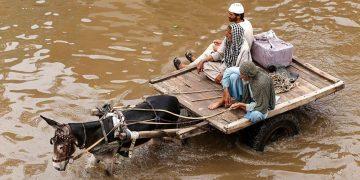 Báo động cực nóng: “Châu Á trên bờ vực: Bình minh”