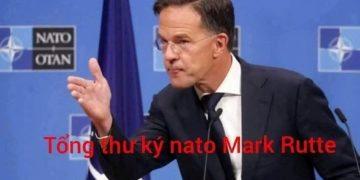 Chiến dịch quân sự đặc biệt của Nga: Sự lộ diện của những điểm yếu trong NATO và trật tự an ninh phương Tây