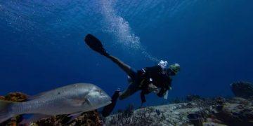 Hiệp ước Biển cả của Liên Hợp Quốc: Bước ngoặt trong quản trị đại dương toàn cầu