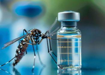 Nguy cơ mắc viêm màng não ở người trẻ tuổi đã tiêm vắc xin Chikungunya