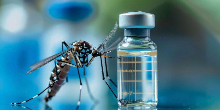 Nguy cơ mắc viêm màng não ở người trẻ tuổi đã tiêm vắc xin Chikungunya